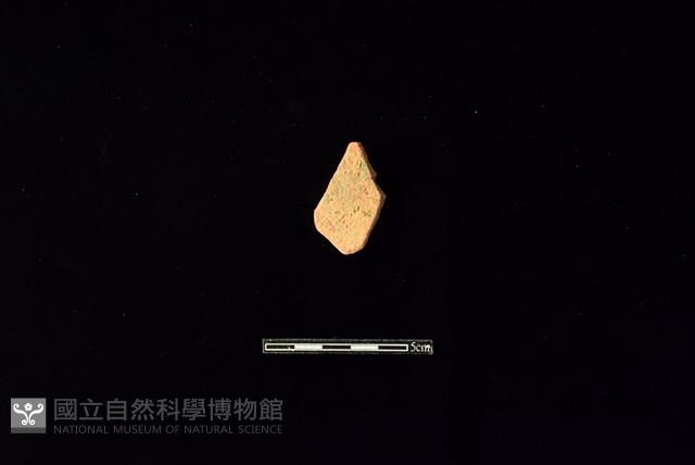 陶片藏品圖，第2張