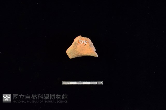 連杯形器藏品圖，第2張