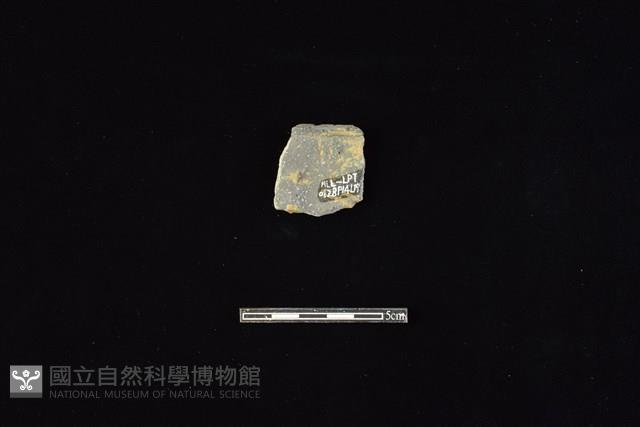 陶罐藏品圖，第2張