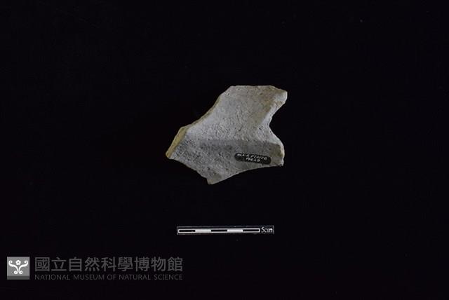 陶罐藏品圖，第2張