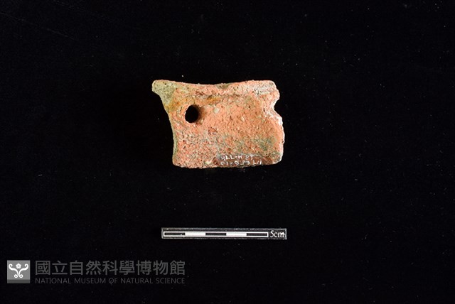陶片藏品圖，第2張