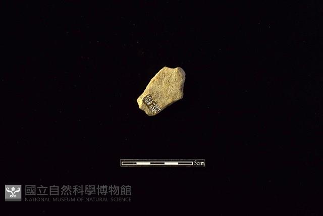 陶罐藏品圖，第2張