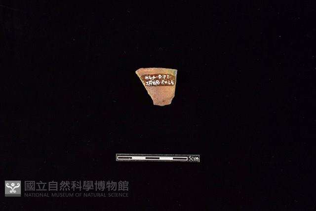 陶罐藏品圖，第2張