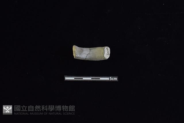 陶把藏品圖，第2張