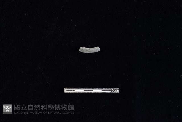 陶環藏品圖，第2張