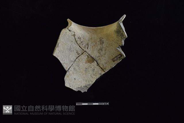 陶罐藏品圖，第2張