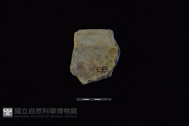 陶罐藏品圖，第2張