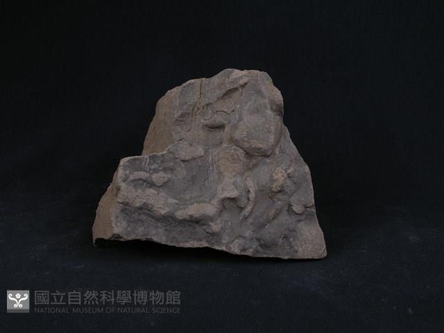 板岩/砂岩藏品圖，第2張