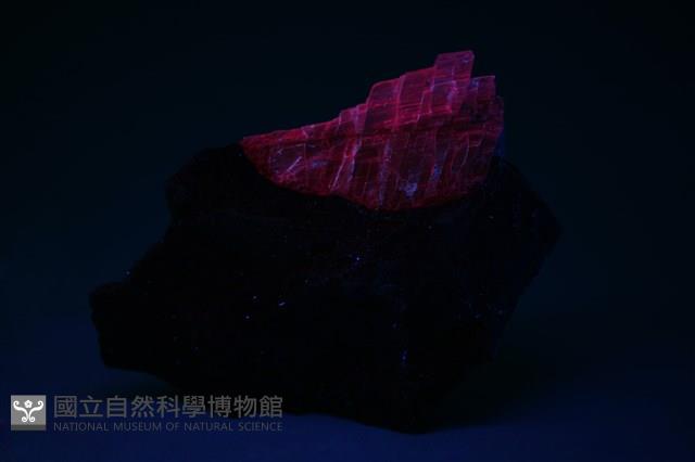 歪長石 藏品圖，第2張