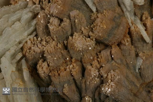 鈉長石藏品圖，第2張
