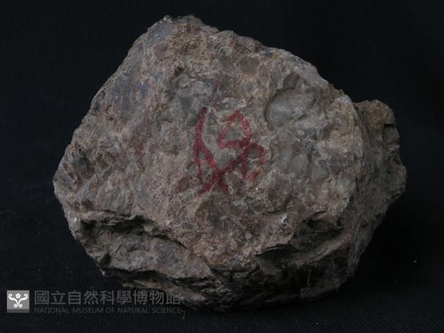矽質岩藏品圖，第2張