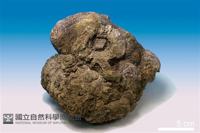 黃鐵礦 藏品圖，第2張