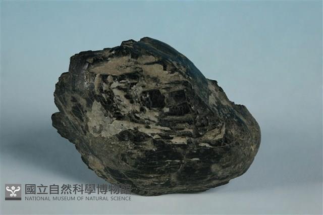 普通角閃石藏品圖，第2張