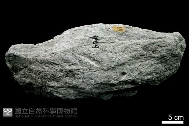 滑石藏品圖，第2張