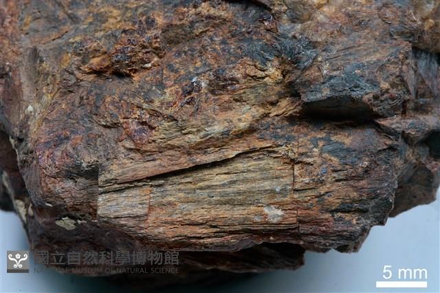 鈣鐵輝石藏品圖，第2張