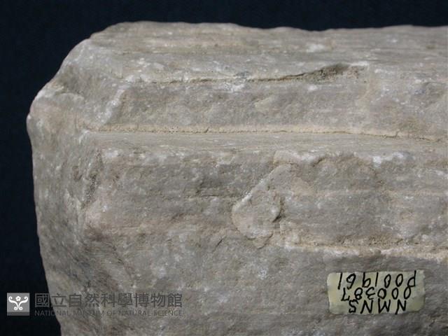 大理岩藏品圖，第2張