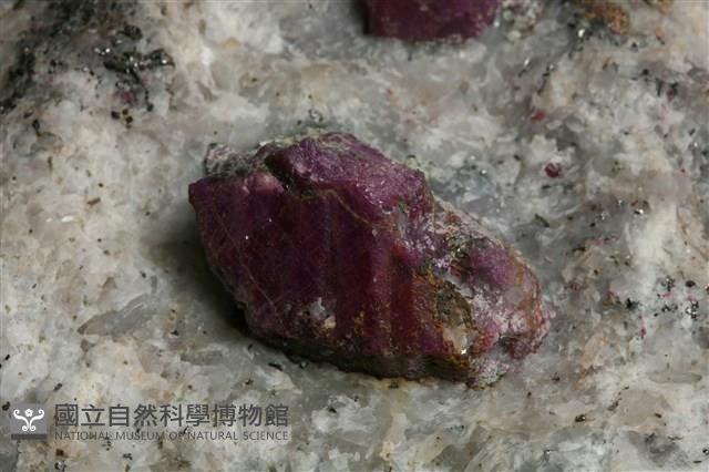 紅寶石藏品圖，第5張