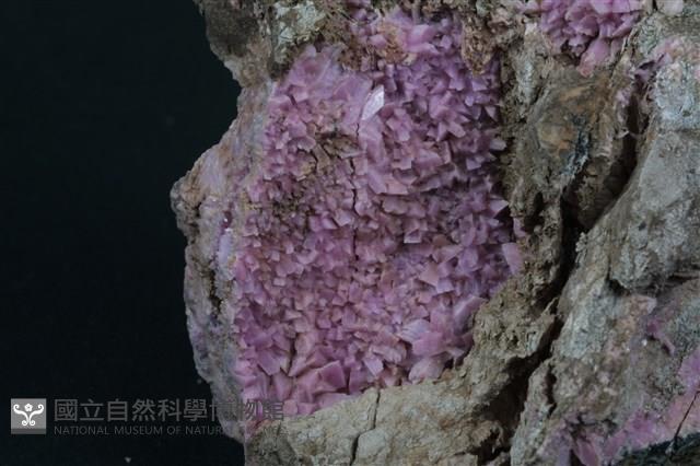 紅矽鈣錳礦藏品圖，第2張