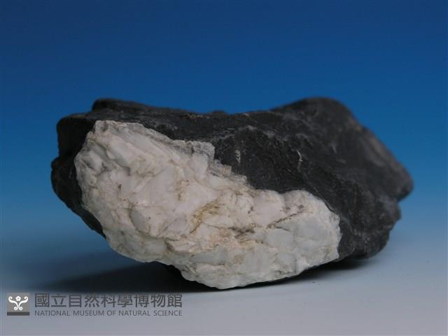 硬頁岩藏品圖，第2張
