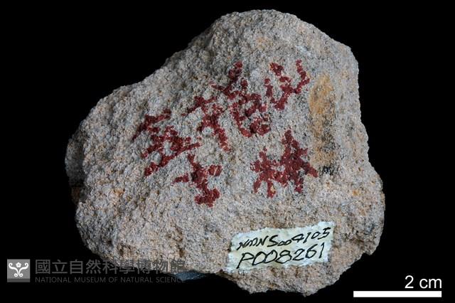 石英砂岩藏品圖，第2張