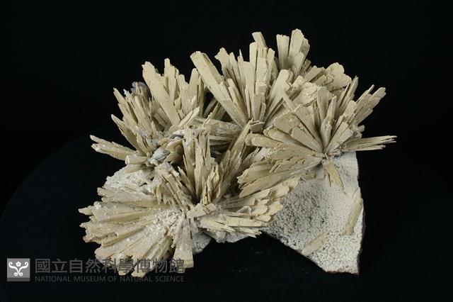 硬石膏藏品圖，第2張
