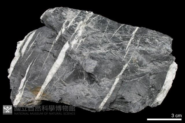 硬頁岩藏品圖，第2張