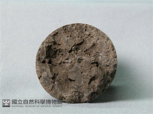 凝灰岩藏品圖，第2張