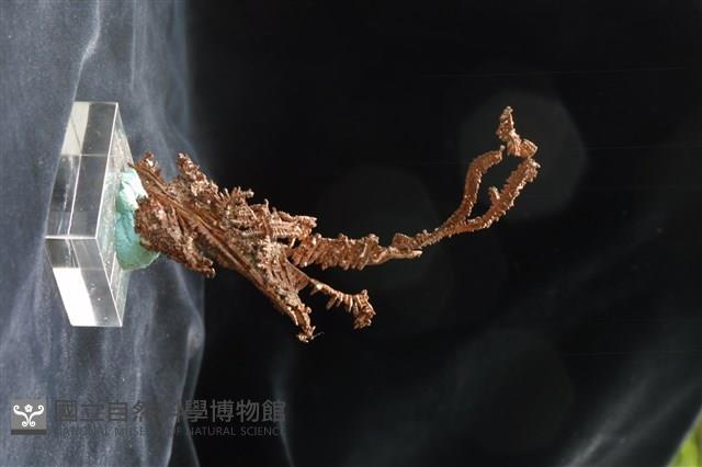 自然銅藏品圖，第2張