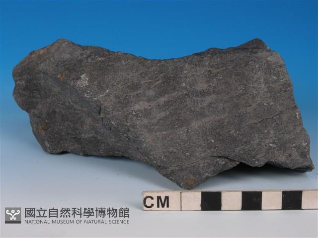 硬頁岩藏品圖，第2張