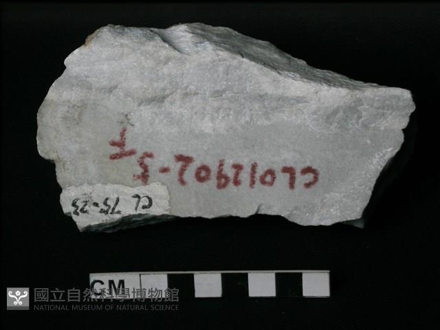 大理岩藏品圖，第2張