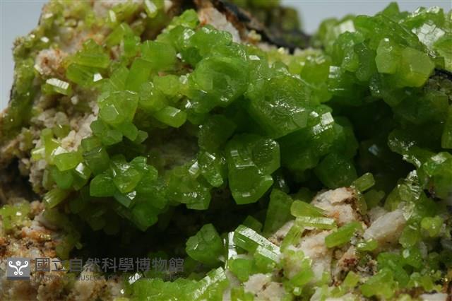 磷氯鉛礦 藏品圖，第2張