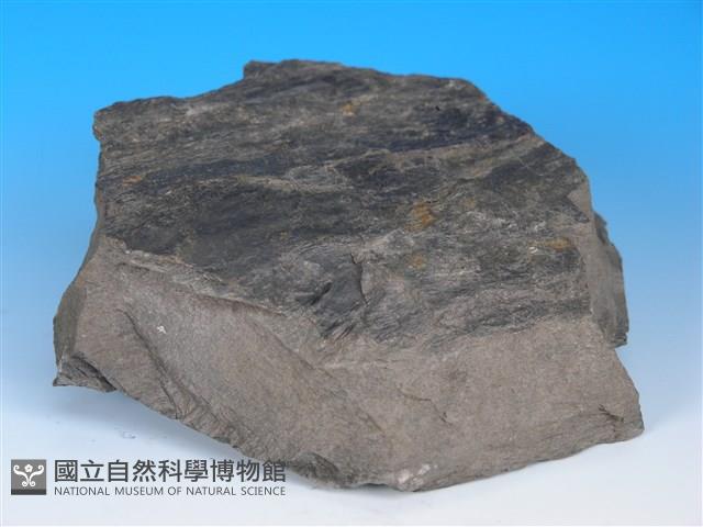 黑色片岩藏品圖，第2張