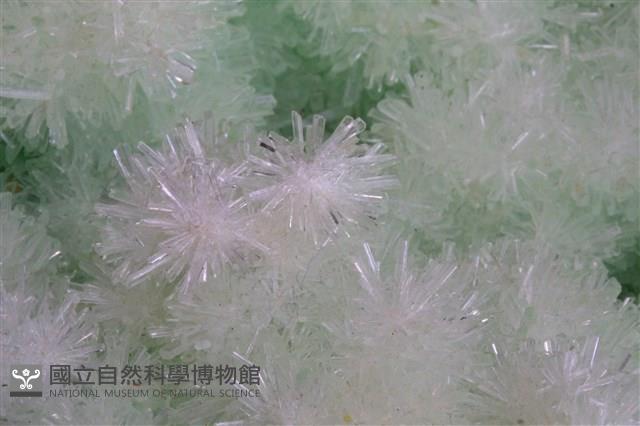 透石膏藏品圖，第2張