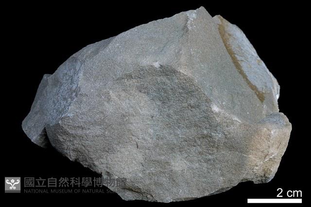泥岩藏品圖，第2張