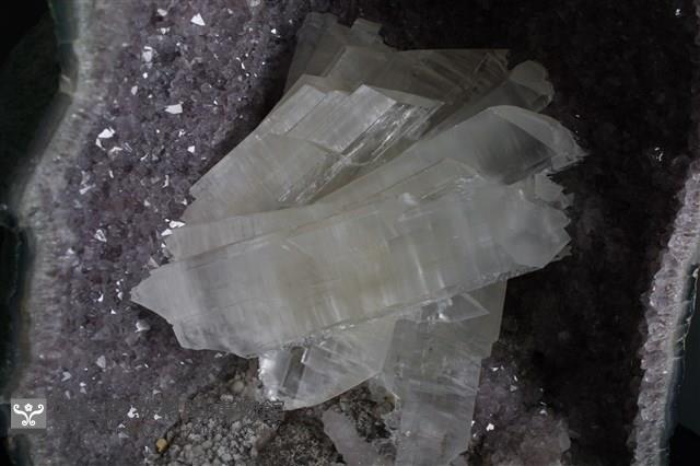 透石膏藏品圖，第2張