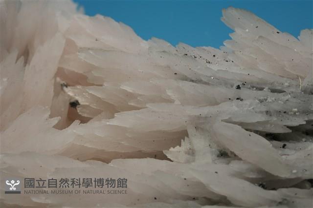 錳方解石 藏品圖，第2張