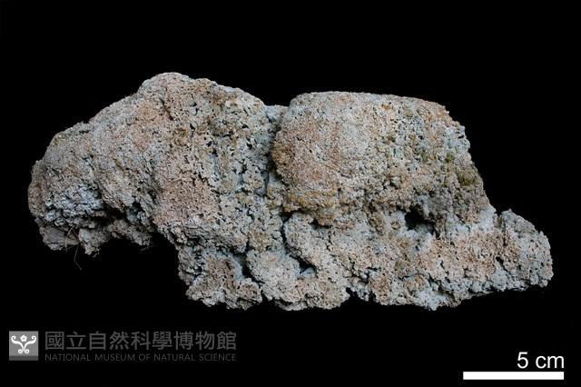 石灰華藏品圖，第2張