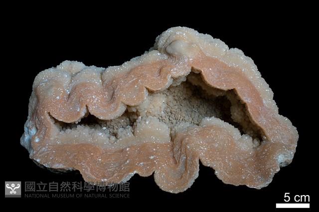 石灰華藏品圖，第2張