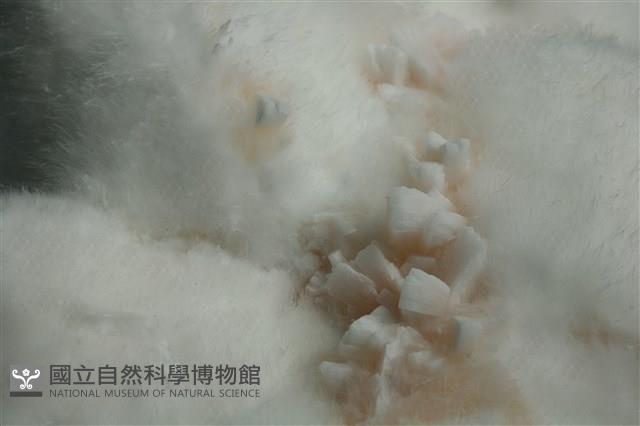 絲光沸石 藏品圖，第2張
