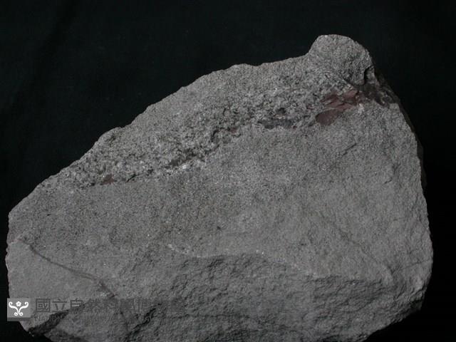 火山砂/火山礫藏品圖，第2張