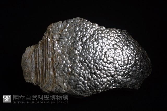 白雲母藏品圖，第5張