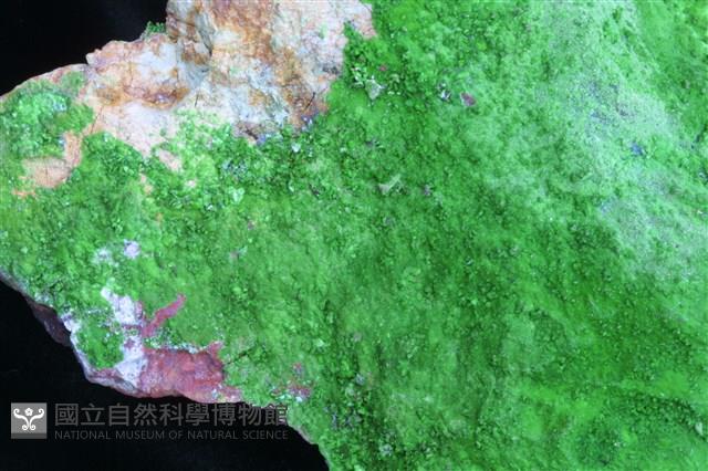 砷鈣銅礦藏品圖，第2張