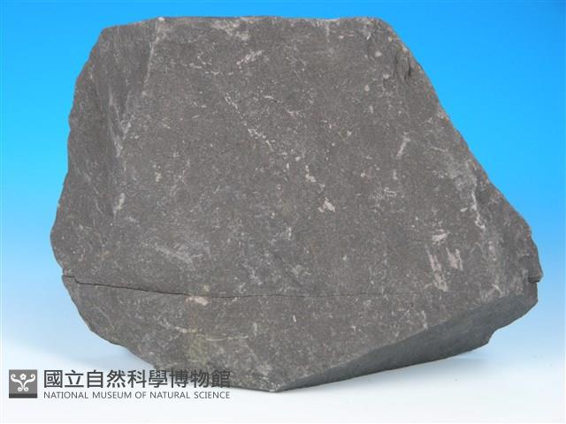 硬頁岩藏品圖，第2張
