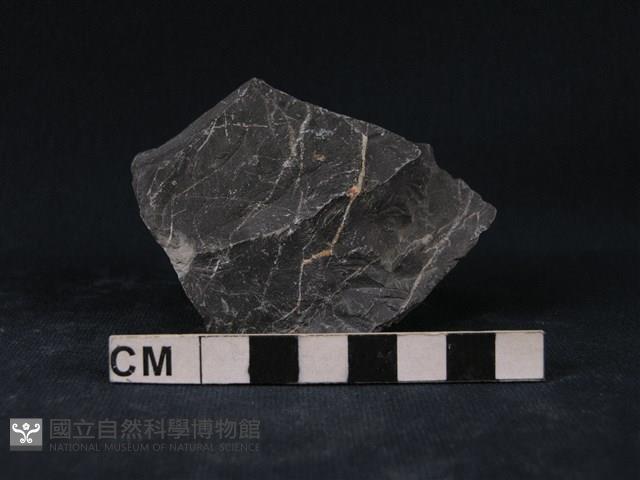 角頁岩藏品圖，第2張