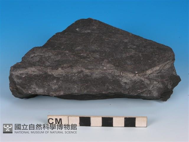 硬頁岩藏品圖，第2張