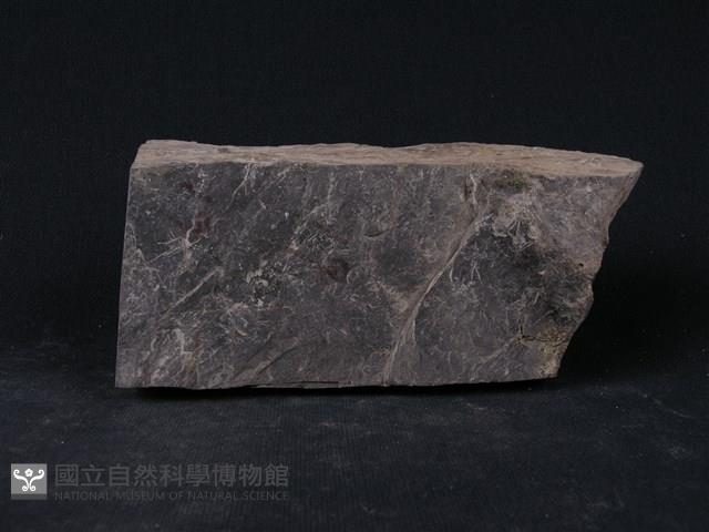 石墨片岩、綠泥石片岩藏品圖，第5張
