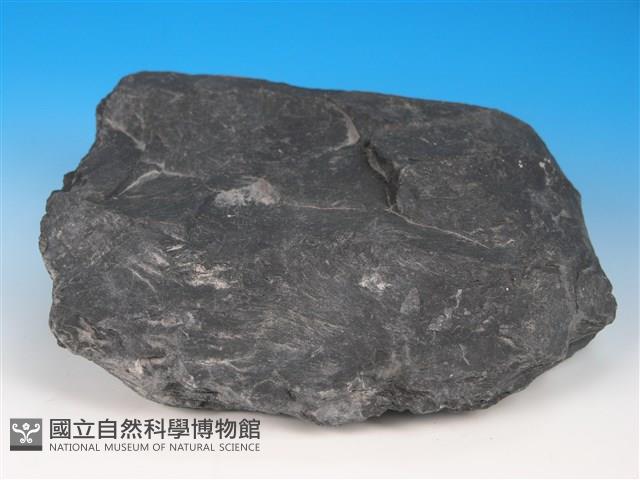 硬頁岩藏品圖，第2張
