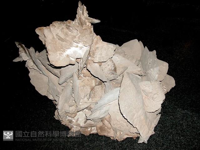 透石膏/石膏藏品圖，第2張