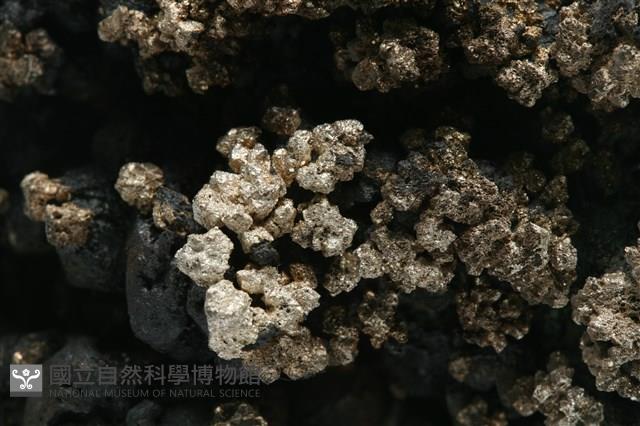自然銀藏品圖，第2張