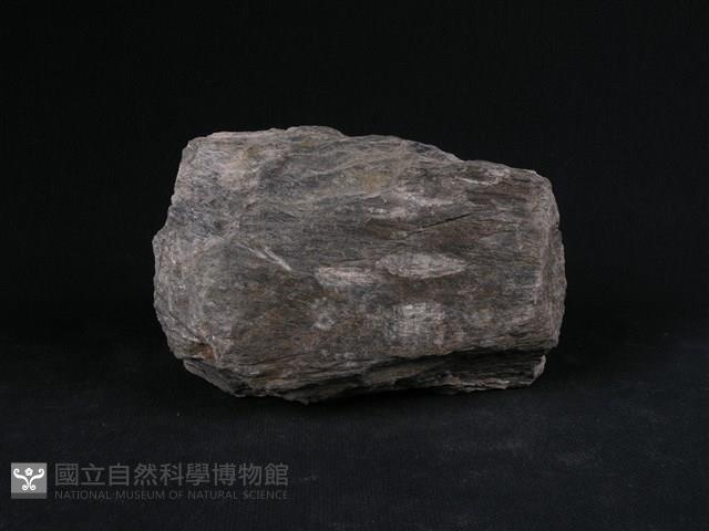 矽質片岩藏品圖，第2張